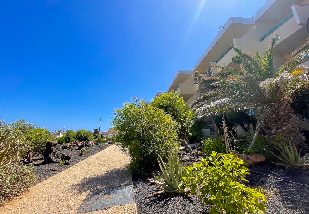 Ferienwohnung in Costa de Antigua - Casita Naranja – Bouganville Residence