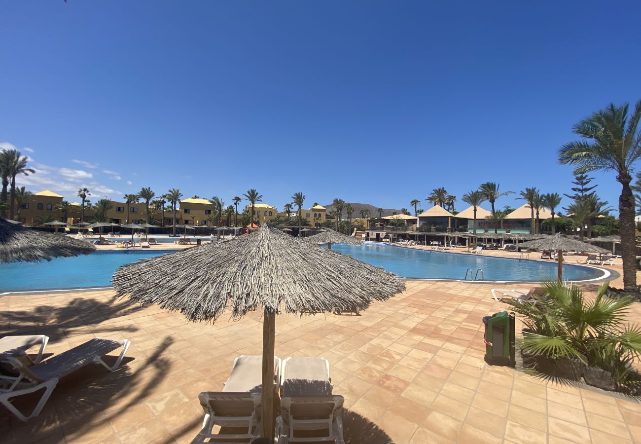 Ferienwohnung in Corralejo - Casa Papagayo – Apartment mit Fahrrad