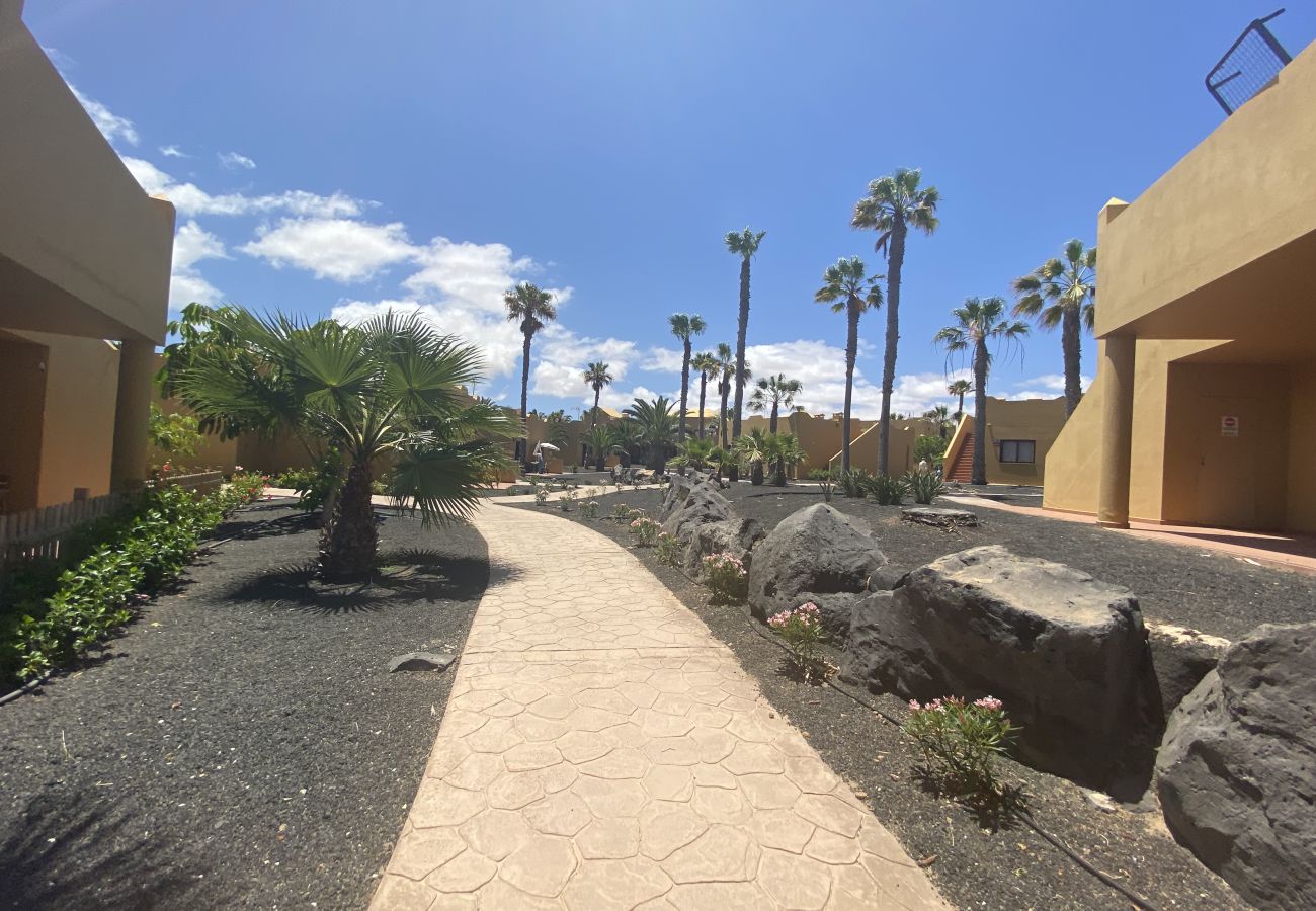 Ferienwohnung in Corralejo - Casa Papagayo – Apartment mit Fahrrad