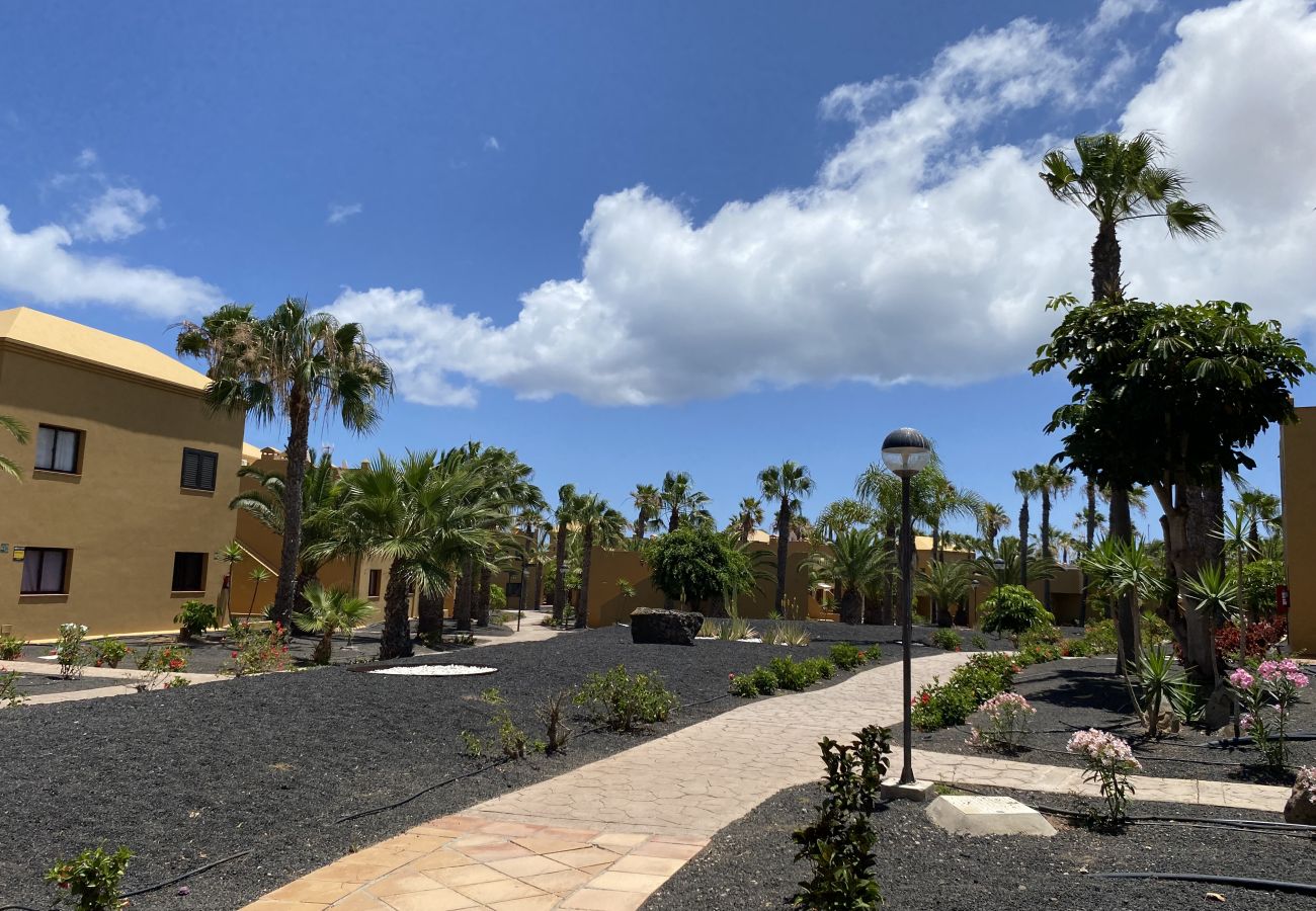 Ferienwohnung in Corralejo - Casa Papagayo – Apartment mit Fahrrad