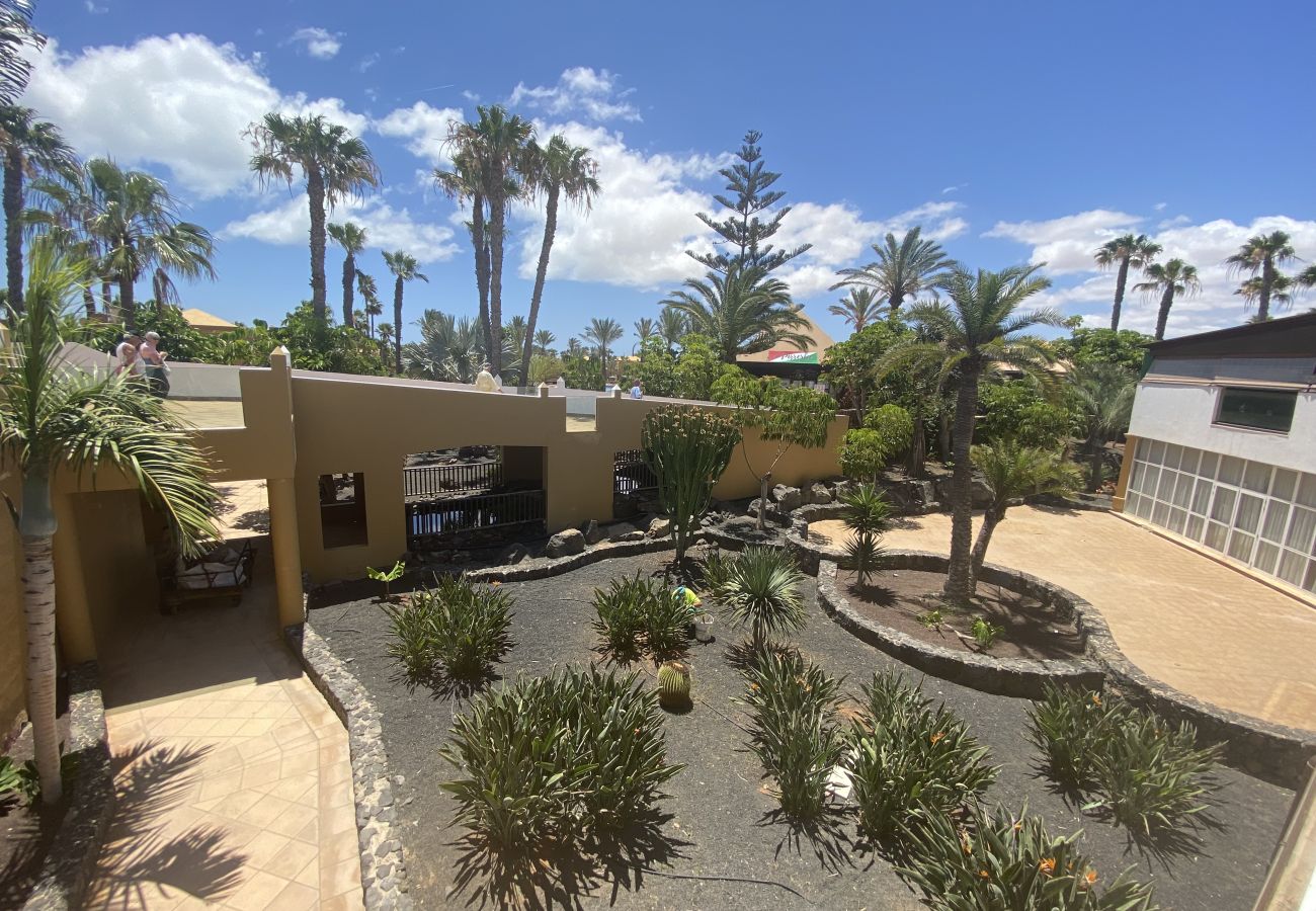Ferienwohnung in Corralejo - Casa Papagayo – Apartment mit Fahrrad