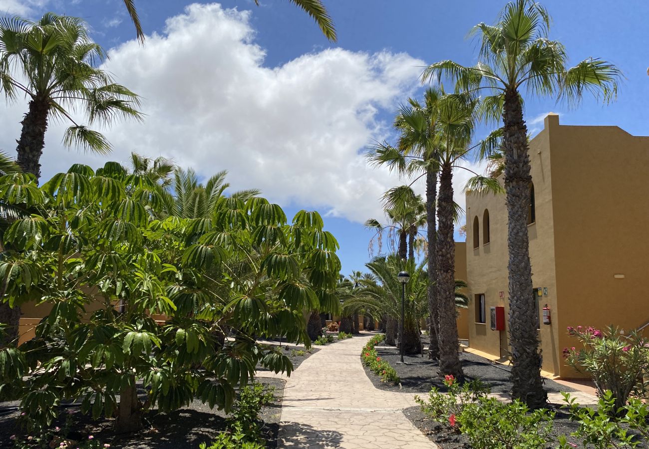 Ferienwohnung in Corralejo - Casa Papagayo – Apartment mit Fahrrad