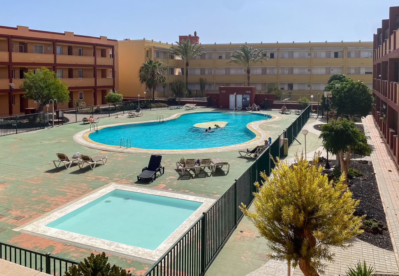 Apartment in La Oliva - Casa Blanca