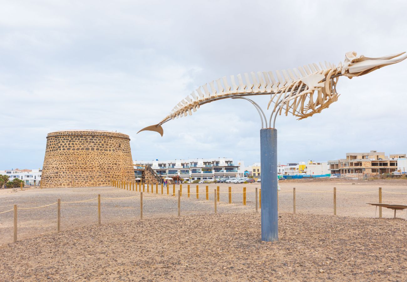 Apartment in El Cotillo - Cotillo Jolanda